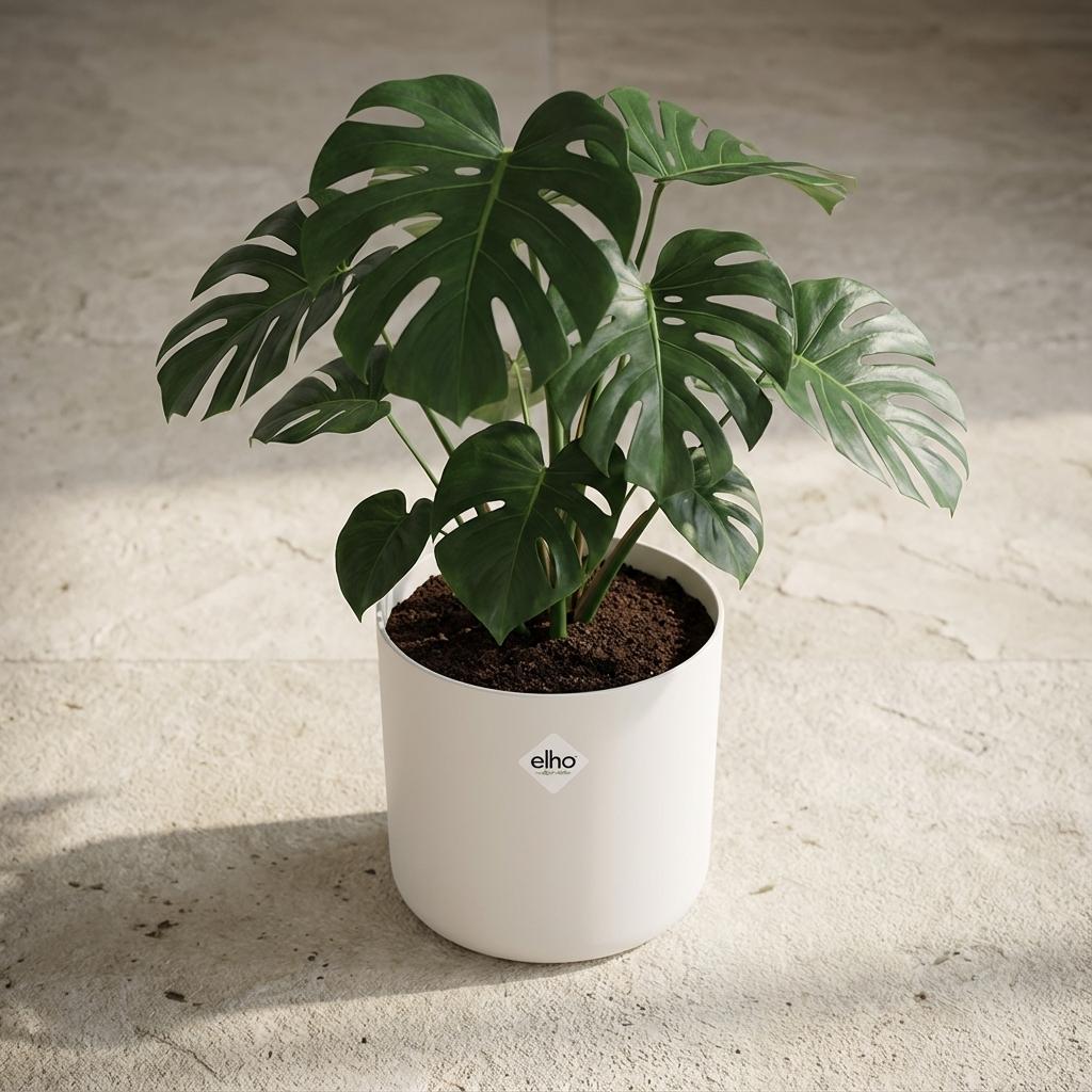 ELHO b.for soft rond 30cm wit