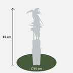 Clematis armandii - Groenblijvende Clematis Wit - Ø15cm - ↕65cm