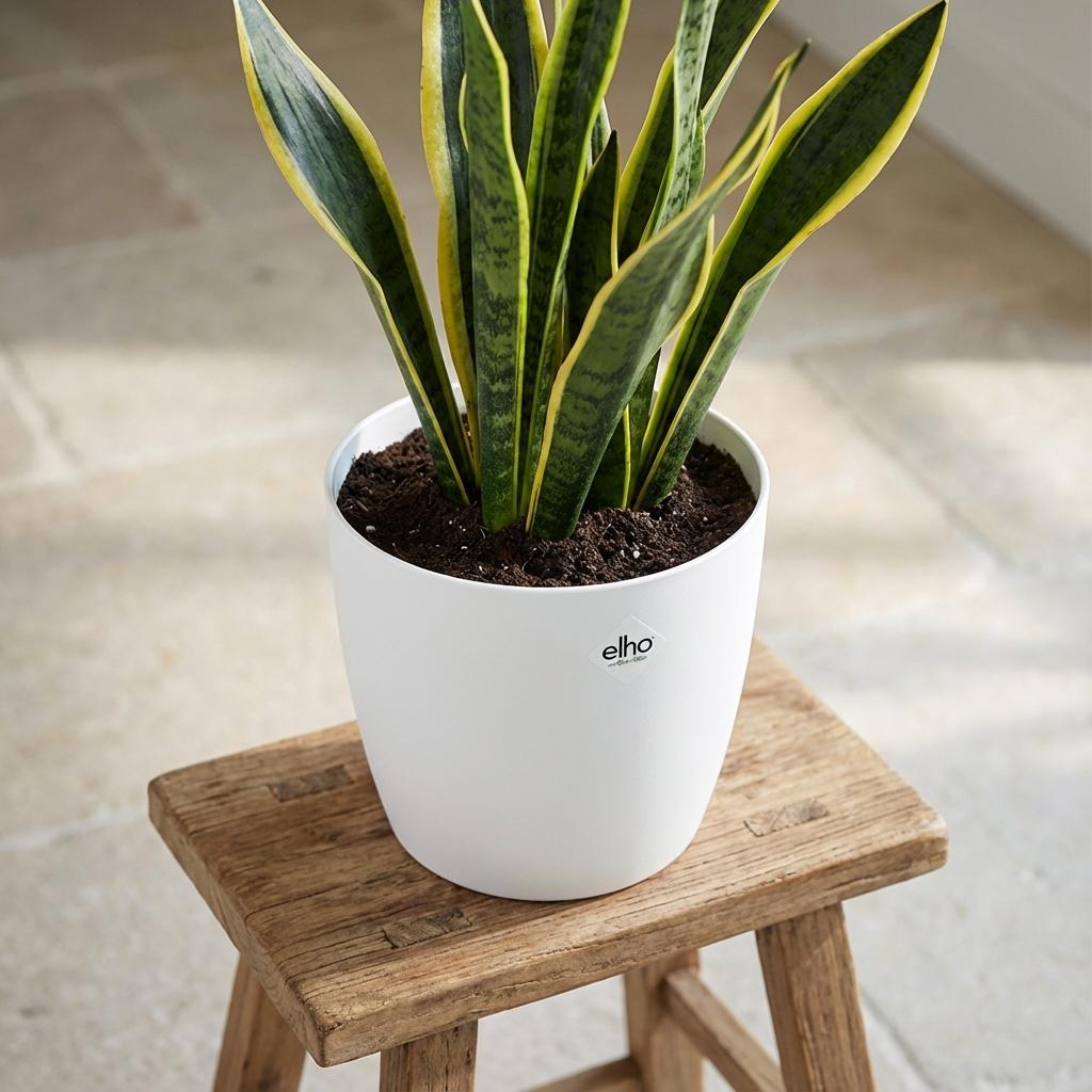 ELHO Brussels rond 22cm wit