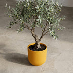 Pot Elho Jazz Round Amber Yellow - D14