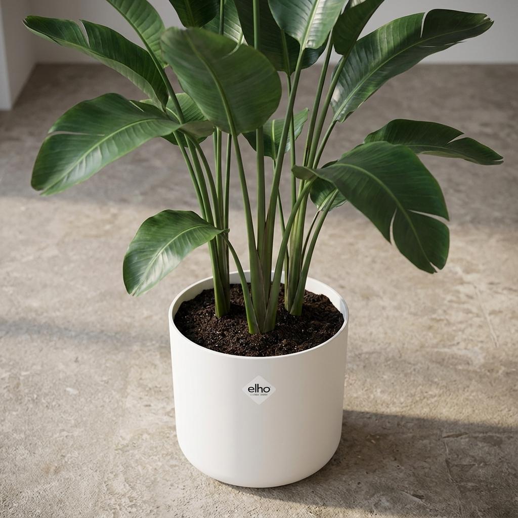 ELHO b.for soft rond 25cm wit