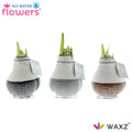 No Water Flowers Waxz Dipz Natural - 3 stuks - Ø7 cm - ↕15 cm