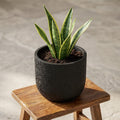 Capi Nature Skin Pot Bol Antraciet - D17cm - H15cm