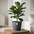 ELHO Brussels rond 30cm antraciet