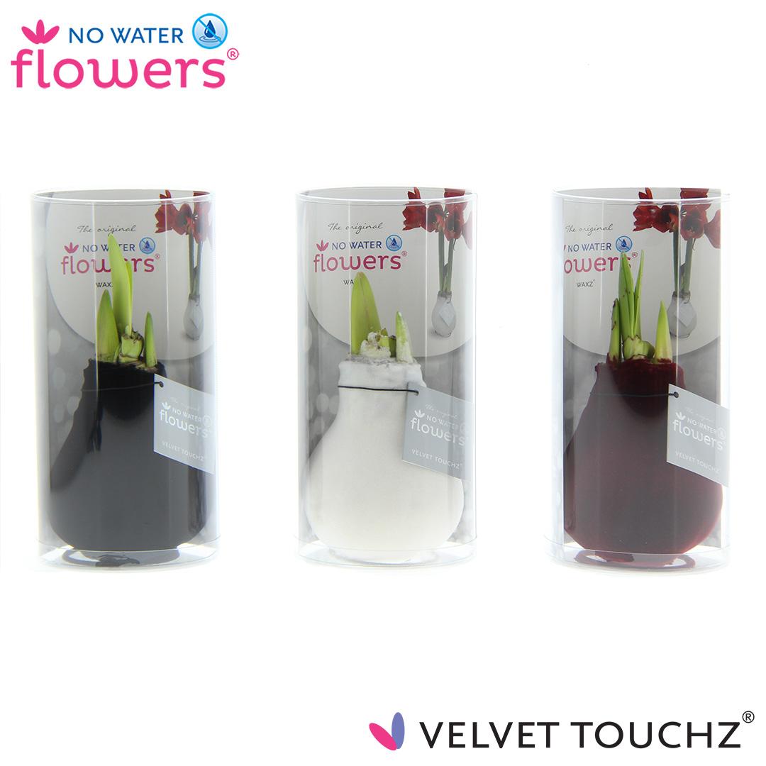 No Water Flowers Velvet Touchz Classic Mix in Koker - 3 stuks - Ø7 cm - ↕15 cm
