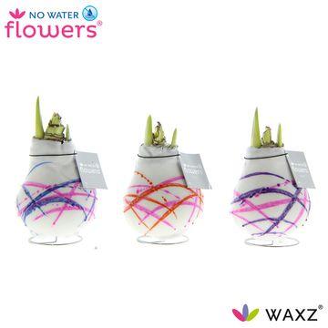No Water Flowers Waxz Art Karel Appel - 3 stuks - Ø7 cm - ↕15 cm