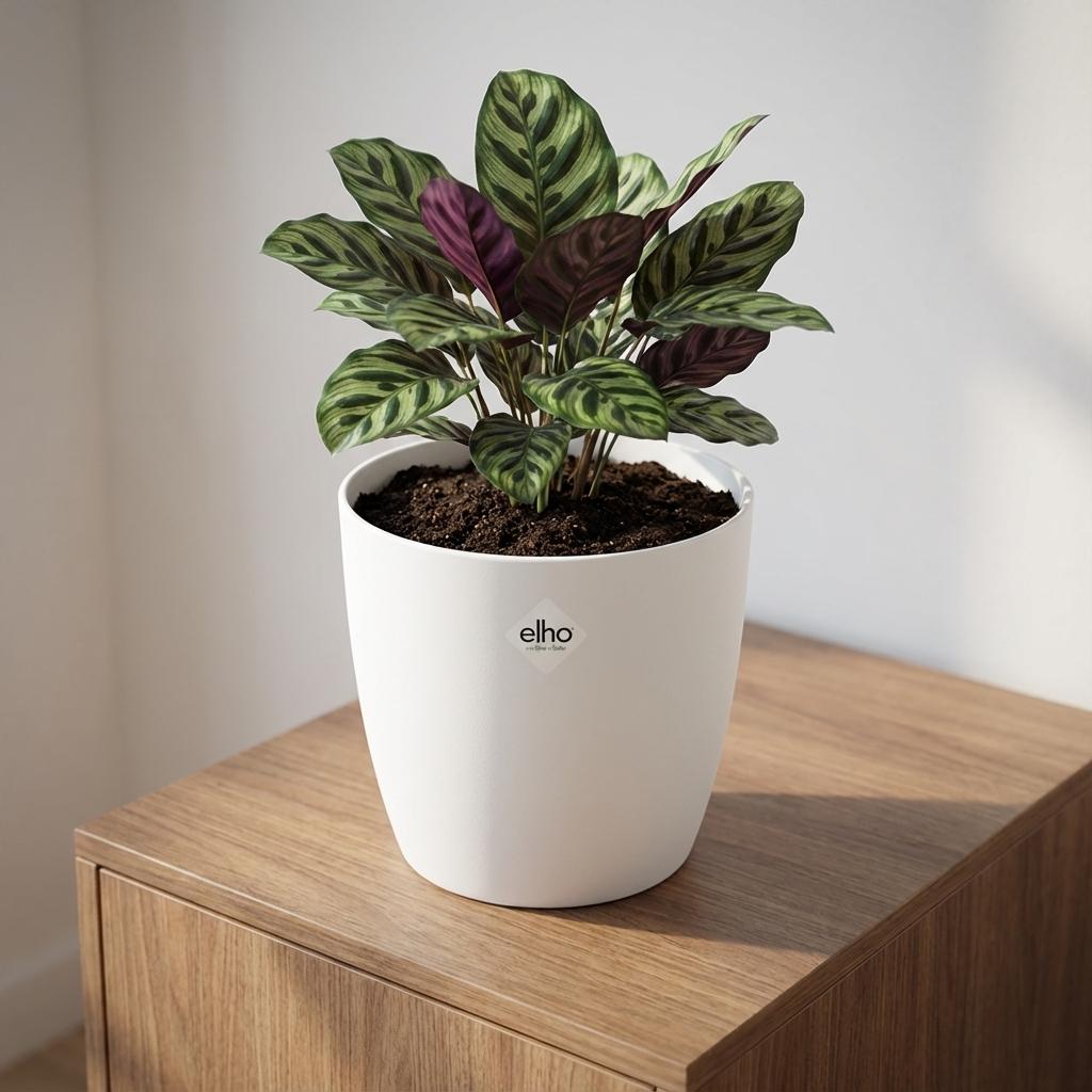 ELHO Brussels rond 22cm wit