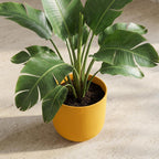 Pot Elho Jazz Round Amber Yellow - D14