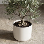 Elho B.for soft White - 25cm